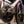 Cargar imagen en el visor de la galería, Guava Racing Team Bike