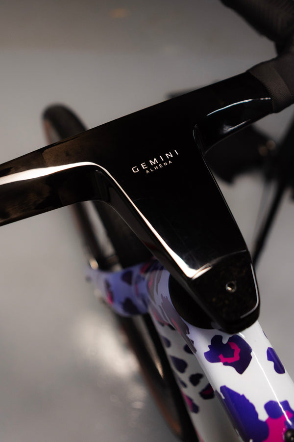 Guava Racing Team Bike
