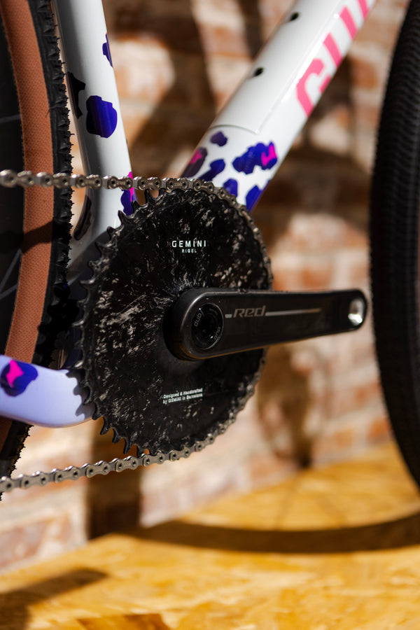 Guava Racing Team Bike