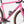 Load image into Gallery viewer, Guava Bartali