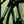 Cargar imagen en el visor de la galería, Guava Flat Bar Monster