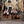 Load image into Gallery viewer, Escape the Ordinary, Ride the Extraordinary
