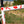 Cargar imagen en el visor de la galería, Guava Oh, Canada! Team Bike

