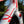 Cargar imagen en el visor de la galería, Guava Oh, Canada! Team Bike
