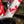 Cargar imagen en el visor de la galería, Guava Oh, Canada! Team Bike
