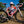 Cargar imagen en el visor de la galería, Guava Oh, Canada! Team Bike
